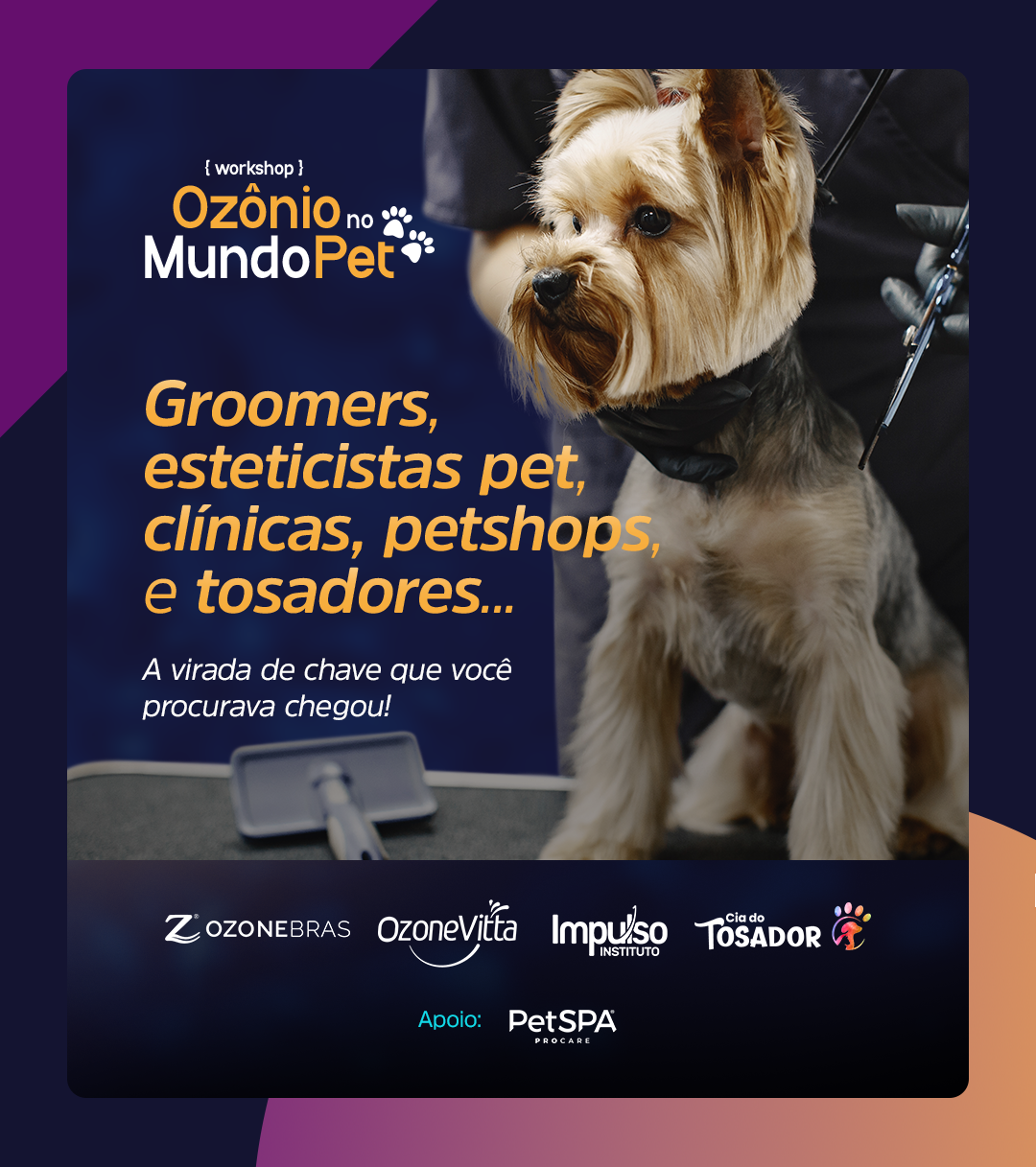 Workshop Ozônio no Mundo PET